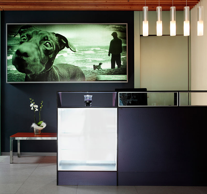Clinica veterinaria en Catarroja