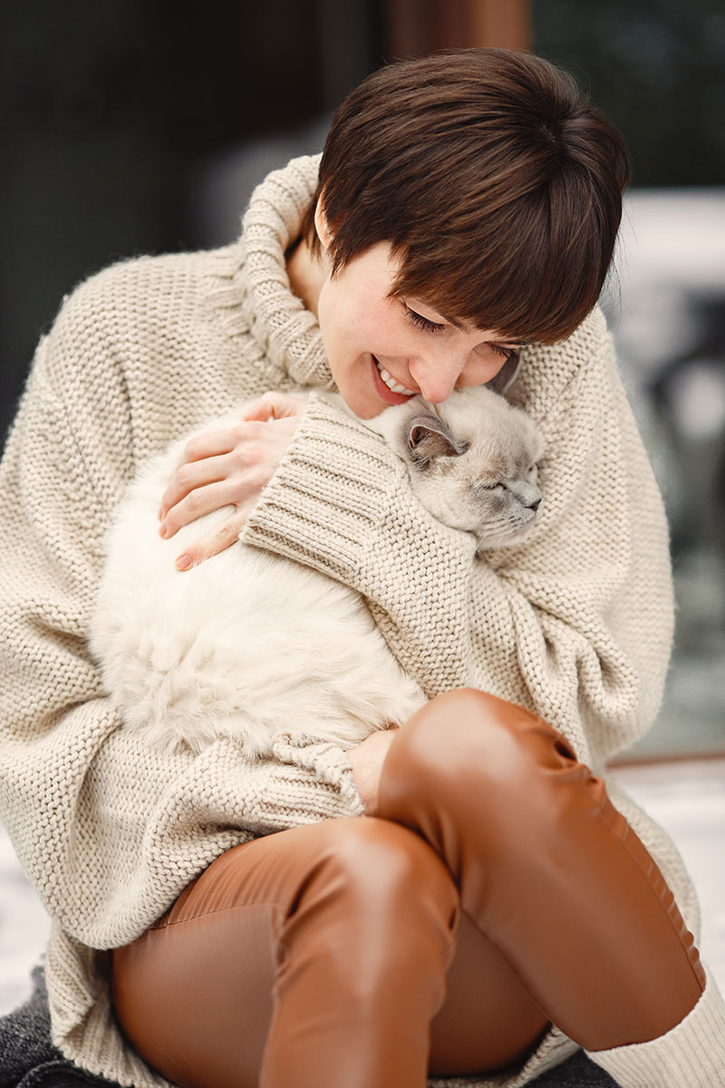 Plan felino adulto Plan felino adulto